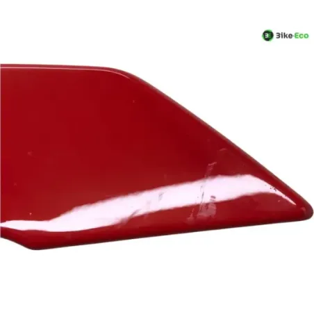 Cache carenage coque arriere droit BMW S 1000 R 2021-2024 K63