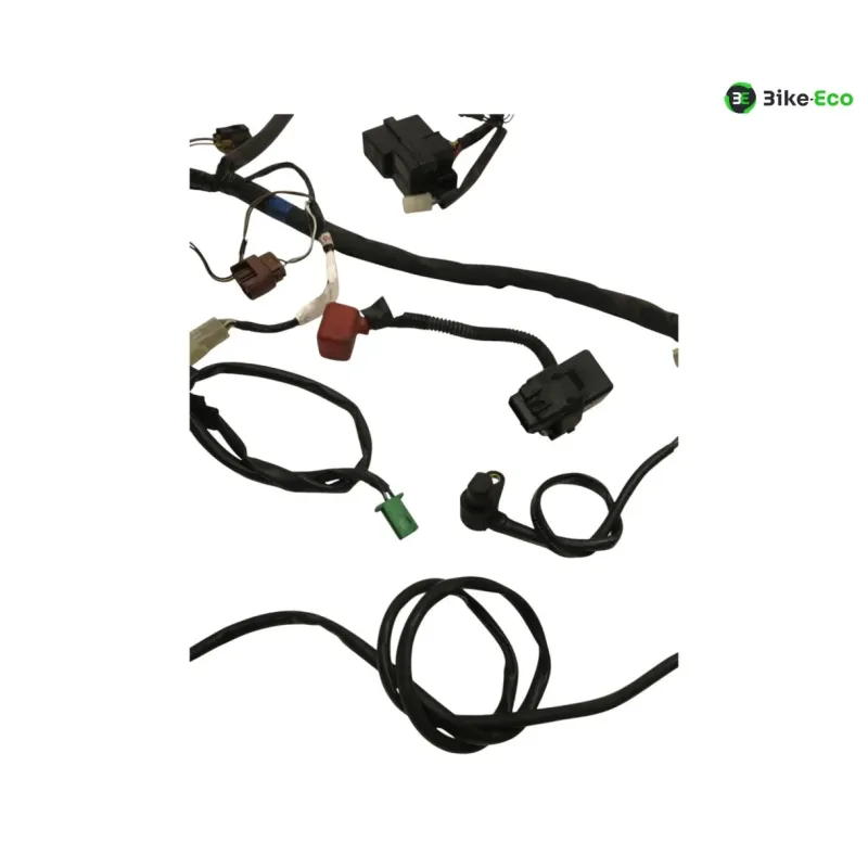 Faisceau electrique SUZUKI GSF 1200 2001-2005 BANDIT S