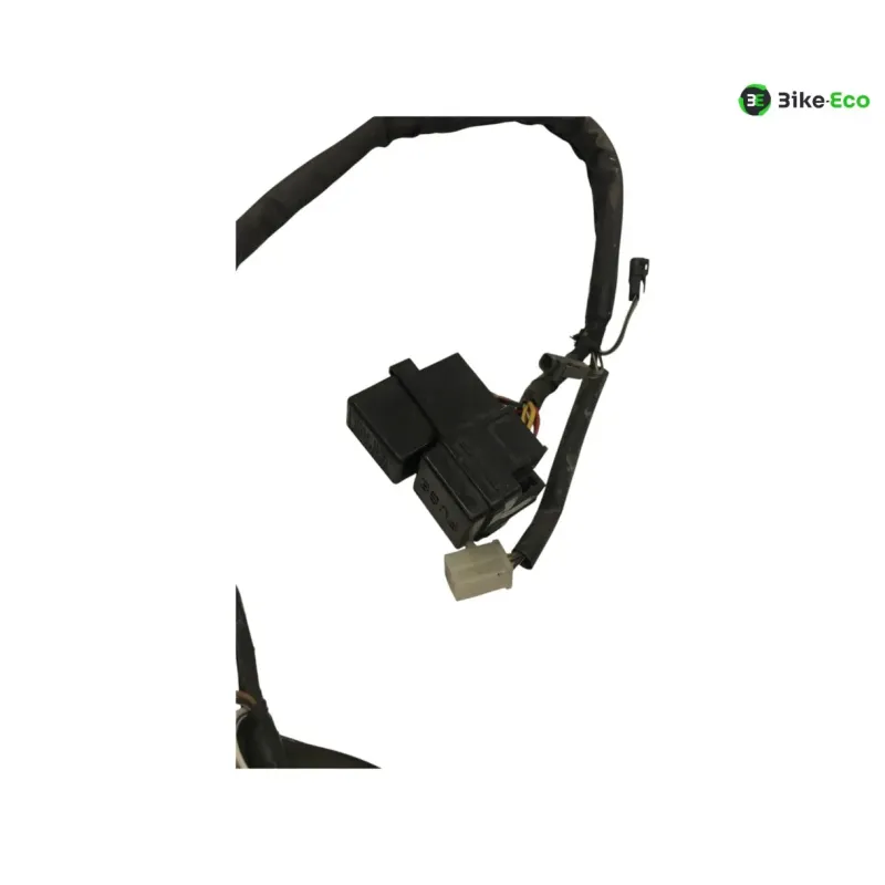 Faisceau electrique SUZUKI GSF 1200 2001-2005 BANDIT S