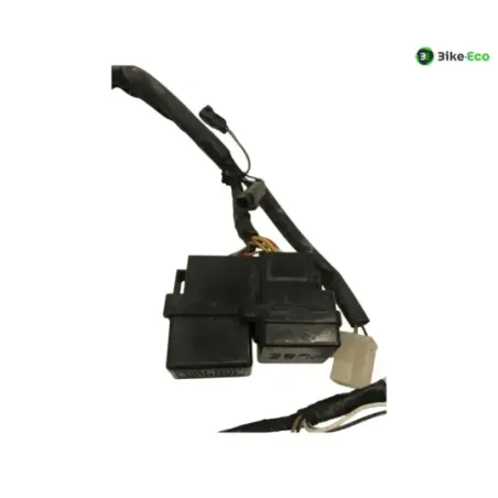 Faisceau electrique SUZUKI GSF 1200 2001-2005 BANDIT S