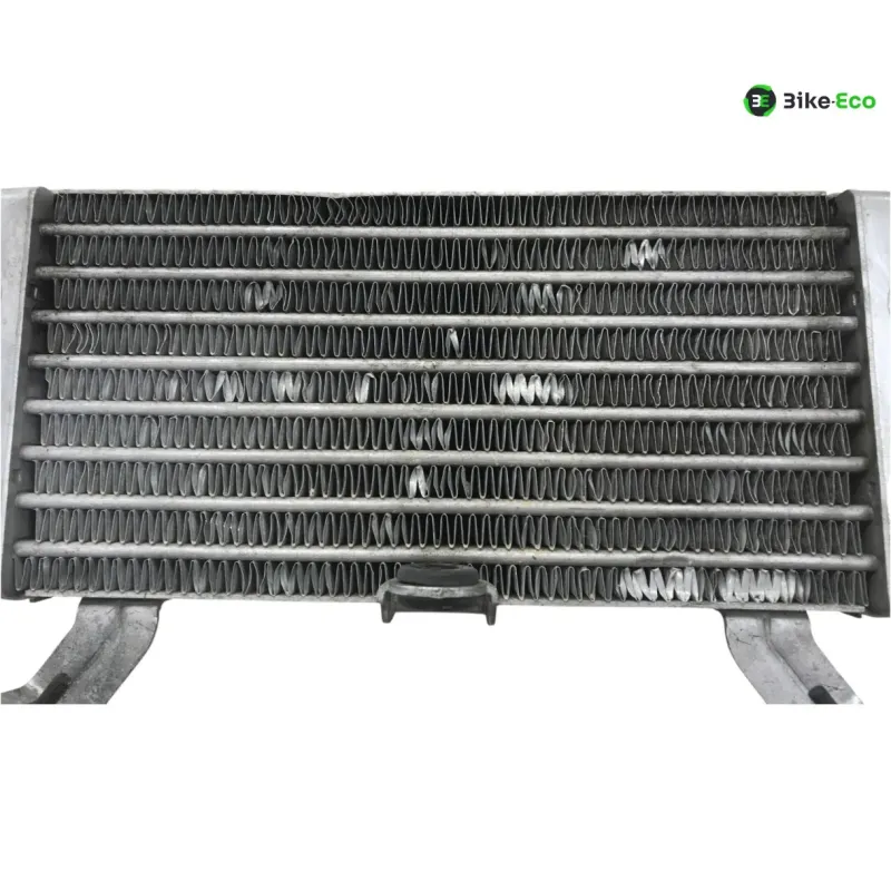 Radiateur huile BMW S 1000 RR 2019-2022