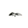 Clignotants avant HONDA NSS 250 FORZA ABS 2005 - 2006 Clignotants avant HONDA NSS 250 FORZA ABS 2005 - 2006