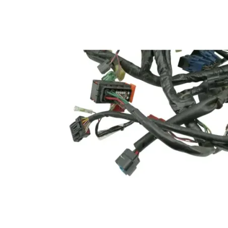 Faisceau electrique HONDA NSS 250 FORZA ABS 2005 - 2006