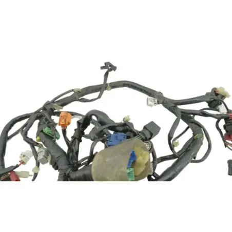 Faisceau electrique HONDA NSS 250 FORZA ABS 2005 - 2006