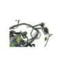 Faisceau electrique HONDA NSS 250 FORZA ABS 2005 - 2006