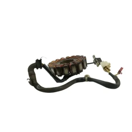 Stator alternateur HONDA NSS 250 FORZA ABS 2005 - 2006
