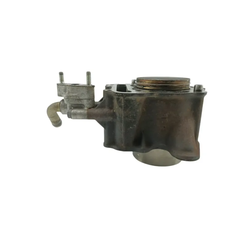 Cylindre HONDA NSS 250 FORZA ABS 2005 - 2006