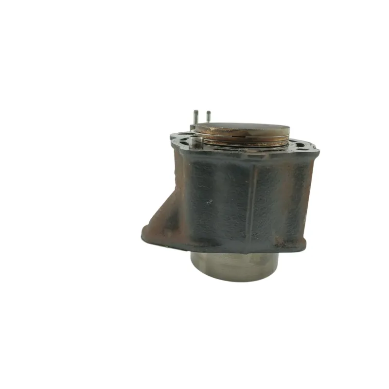 Cylindre HONDA NSS 250 FORZA ABS 2005 - 2006