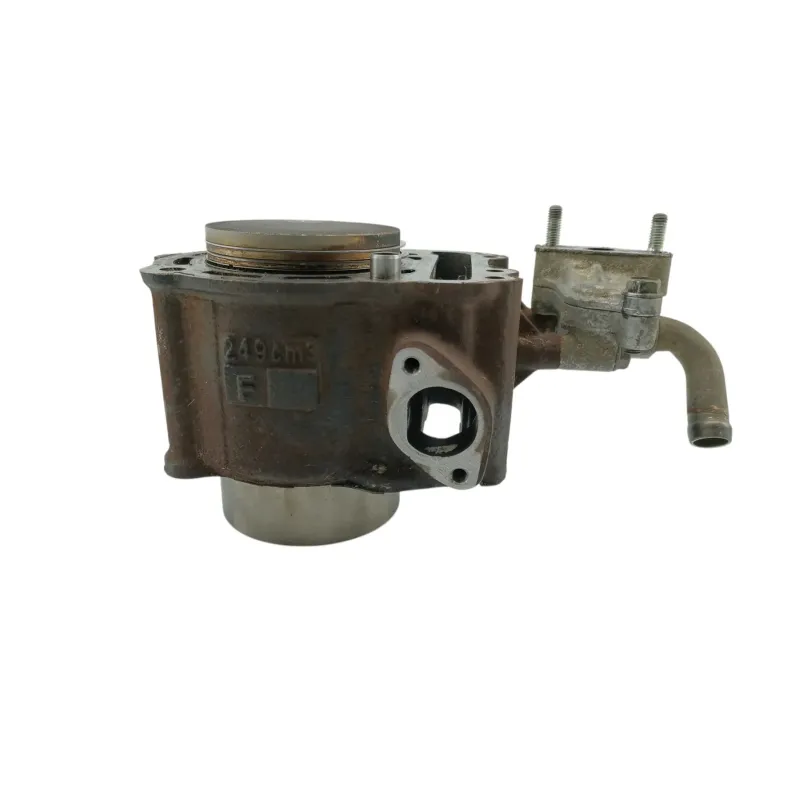 Cylindre HONDA NSS 250 FORZA ABS 2005 - 2006