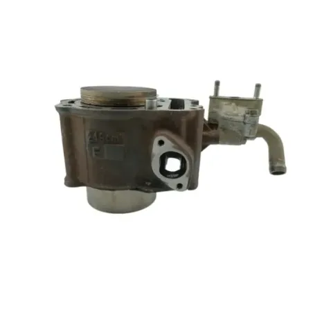 Cylindre HONDA NSS 250 FORZA ABS 2005 - 2006