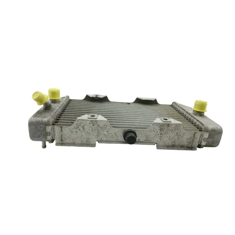 Radiateur eau HONDA NSS 250 FORZA ABS 2005 - 2006