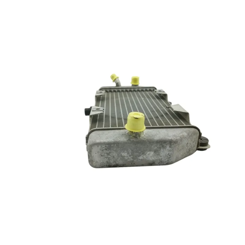 Radiateur eau HONDA NSS 250 FORZA ABS 2005 - 2006