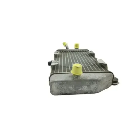 Radiateur eau HONDA NSS 250 FORZA ABS 2005 - 2006
