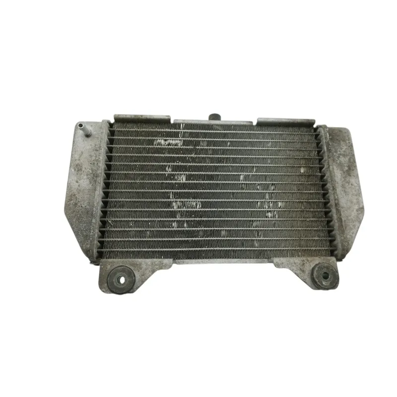 Radiateur eau HONDA NSS 250 FORZA ABS 2005 - 2006