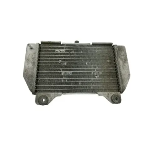 Radiateur eau HONDA NSS 250 FORZA ABS 2005 - 2006