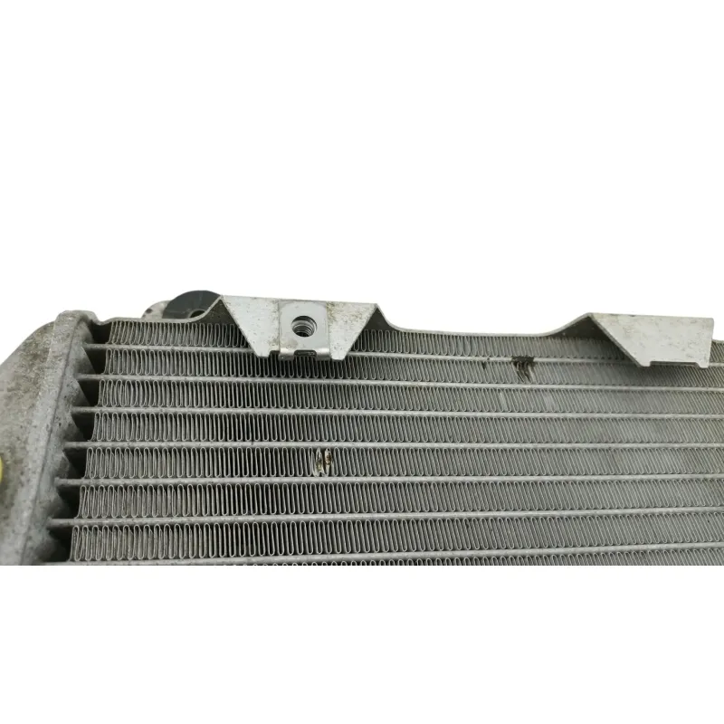 Radiateur eau HONDA NSS 250 FORZA ABS 2005 - 2006