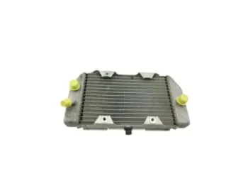 Radiateur eau HONDA NSS 250 FORZA ABS 2005 - 2006