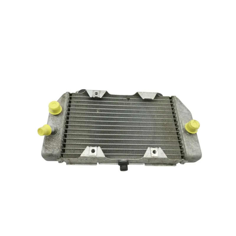 Radiateur eau HONDA NSS 250 FORZA ABS 2005 - 2006
