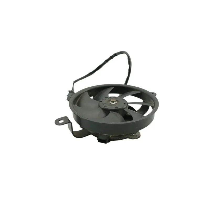 Ventilateur HONDA NSS 250 FORZA ABS 2005 - 2006