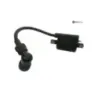 Faisceau electrique YAMAHA YP 250 2000-2001 MAJESTY Faisceau electrique YAMAHA YP 250 2000-2001 MAJESTY