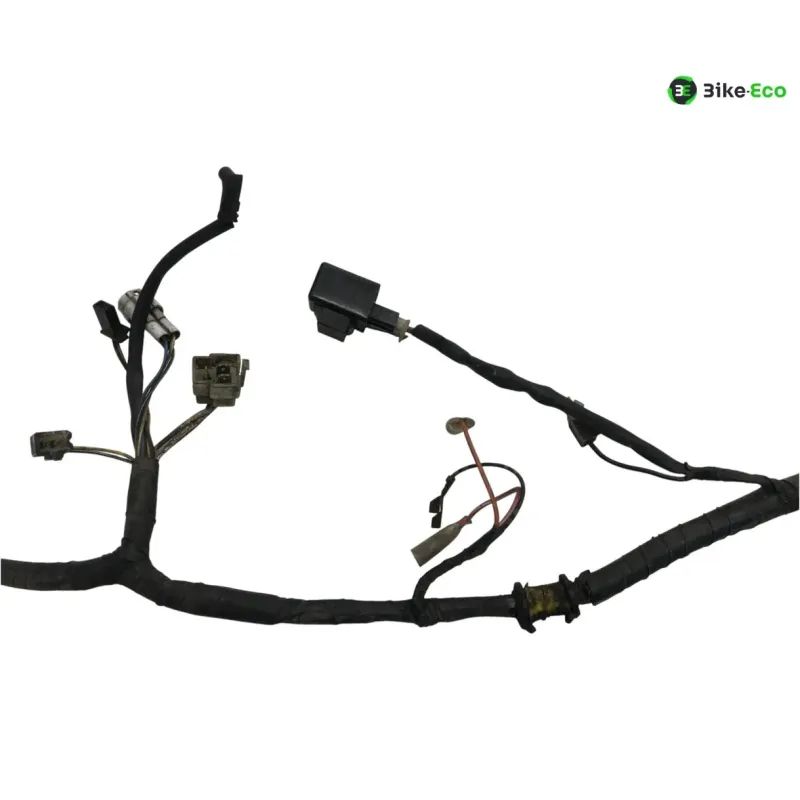 Faisceau electrique YAMAHA YP 250 2000-2001 MAJESTY
