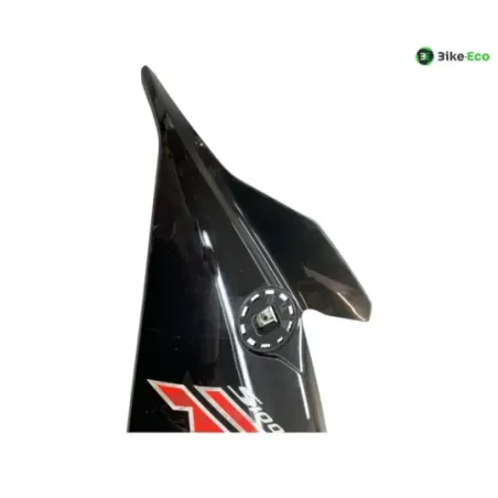 Cache flanc de carenage gauche BMW S 1000 RR 2019-2022