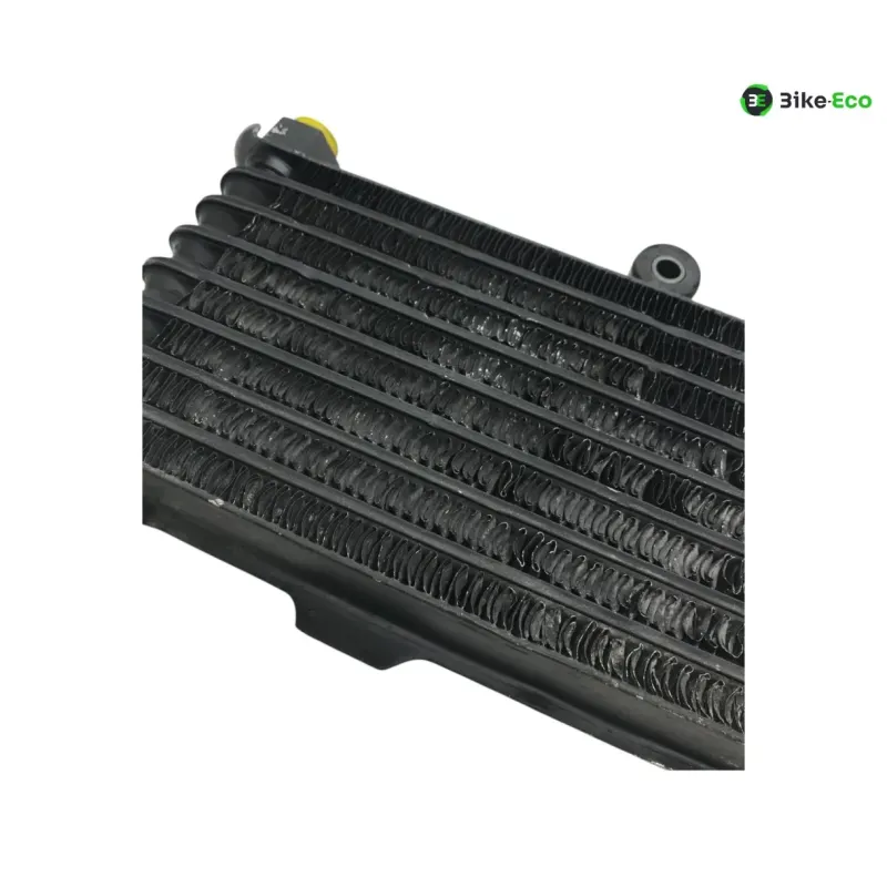 Radiateur huile SUZUKI GSX F 600 1998-2003