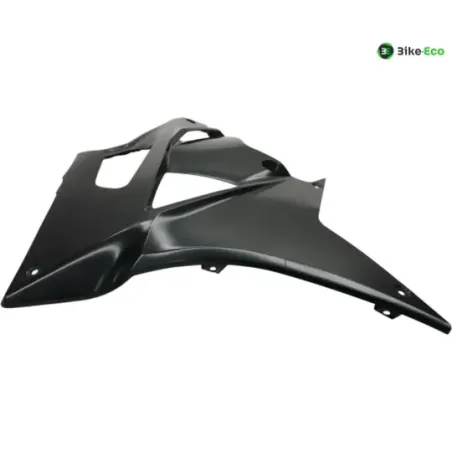 Cache flanc de carenage droit BMW S 1000 RR 2012-2014 K46