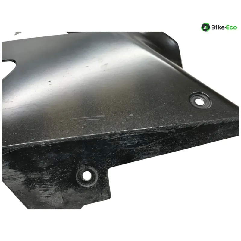 Cache flanc de carenage droit BMW S 1000 RR 2012-2014 K46