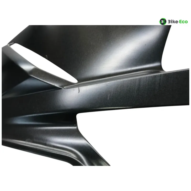 Cache flanc de carenage droit BMW S 1000 RR 2012-2014 K46