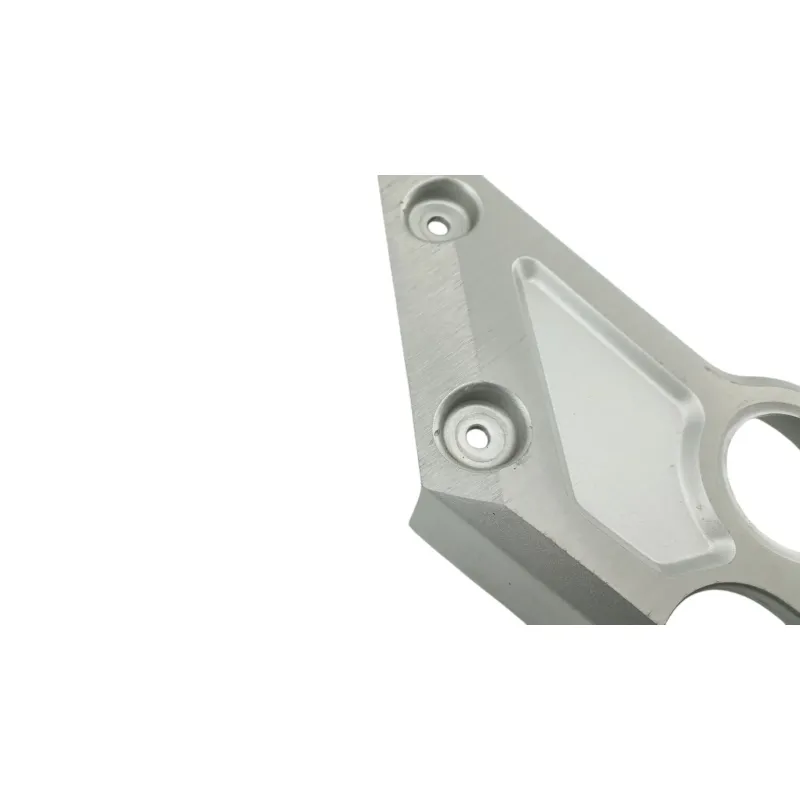 Habillage de cadre droit YAMAHA FZS 1000 FAZER 2001 - 2005