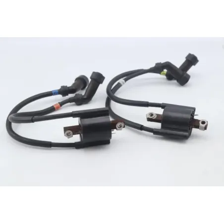 Bobine allumage YAMAHA XJR 1300 1999 - 2001
