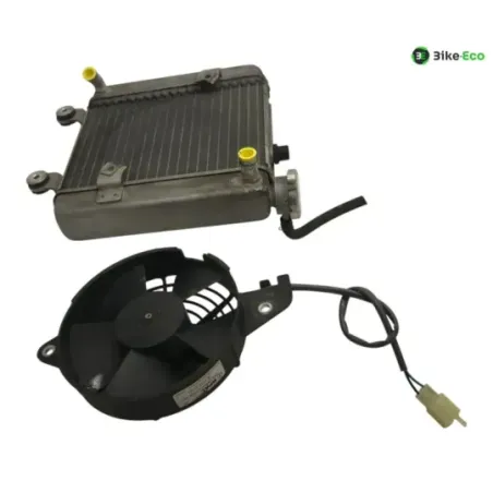 Radiateur eau HONDA FES 125 2007-2013 S-WING