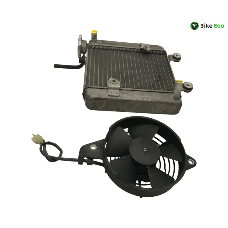 Radiateur eau HONDA FES 125 2007-2013 S-WING
