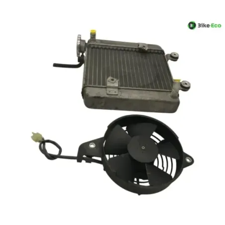 Radiateur eau HONDA FES 125 2007-2013 S-WING