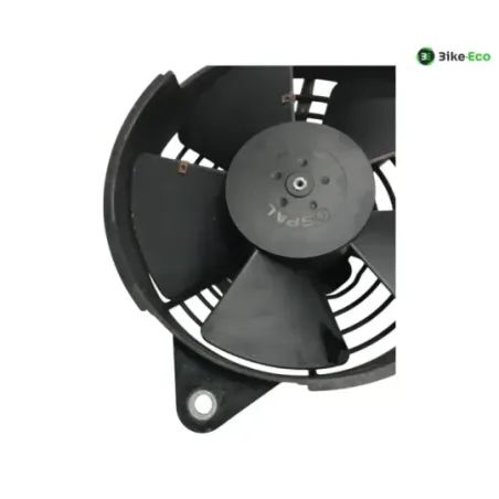 Radiateur eau HONDA FES 125 2007-2013 S-WING