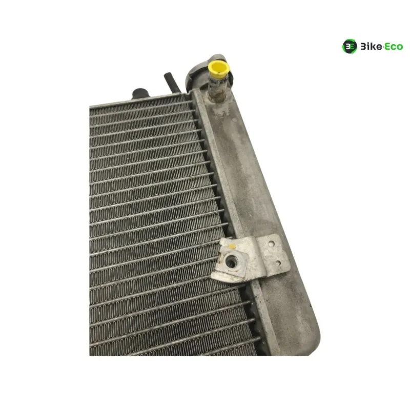 Radiateur eau HONDA FES 125 2007-2013 S-WING