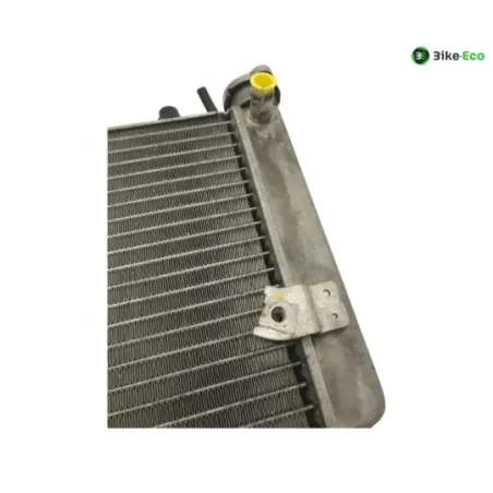 Radiateur eau HONDA FES 125 2007-2013 S-WING