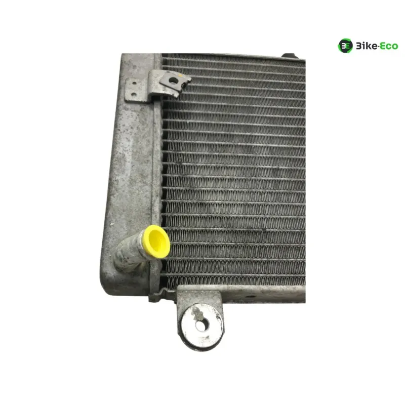 Radiateur eau HONDA FES 125 2007-2013 S-WING