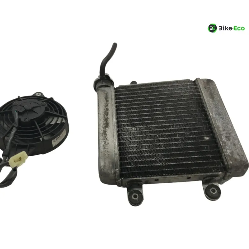 Radiateur eau HONDA FES 125 2007-2013 S-WING