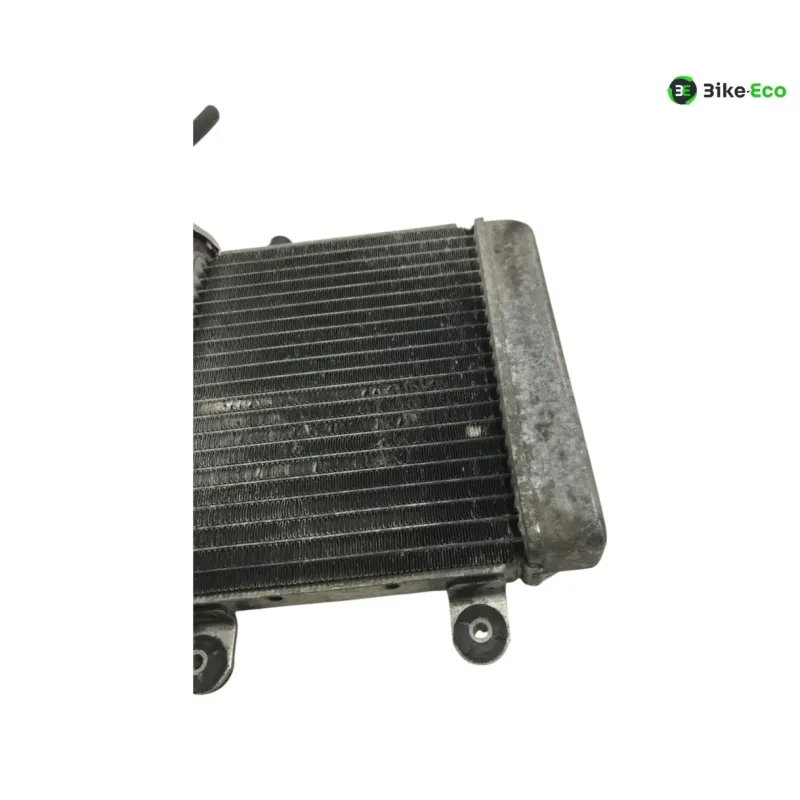 Radiateur eau HONDA FES 125 2007-2013 S-WING