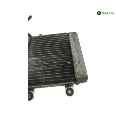 Radiateur eau HONDA FES 125 2007-2013 S-WING