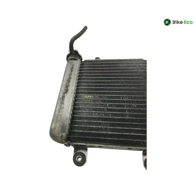 Radiateur eau HONDA FES 125 2007-2013 S-WING