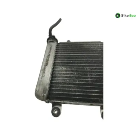 Radiateur eau HONDA FES 125 2007-2013 S-WING