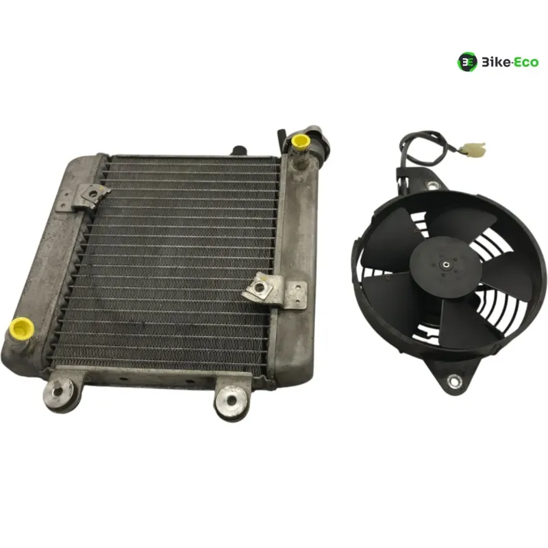 Radiateur eau HONDA FES 125 2007-2013 S-WING