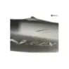 Cache carenage coque arriere droit YAMAHA GPD 125 2015-2019 NMAX Cache carenage coque arriere droit YAMAHA GPD 125 2015-2019 NMAX