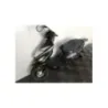 TNT MOTOR ROMA 50