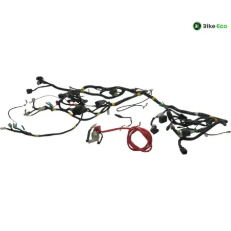 Faisceau electrique QUADRO 350 S 3D 2013-2018