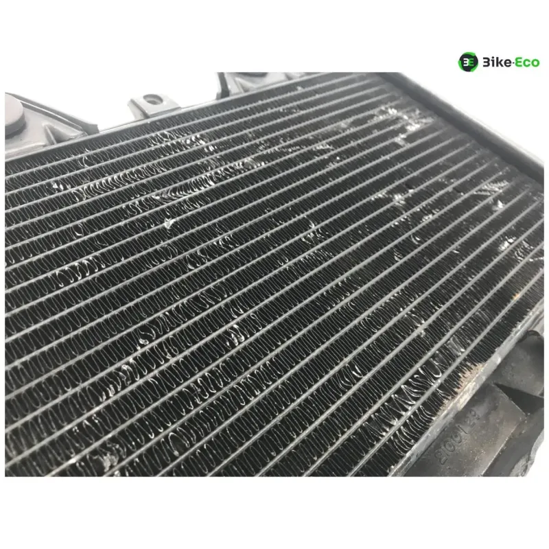 Radiateur eau TRIUMPH TROPHY 900 1992-1995