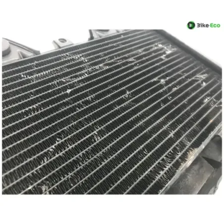 Radiateur eau TRIUMPH TROPHY 900 1992-1995